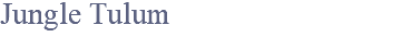 Jungle Tulum